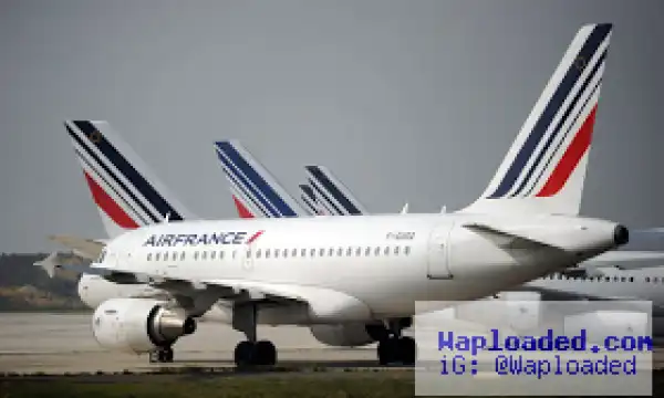 Woman hides 4 year old chld in bag on an Air France flight